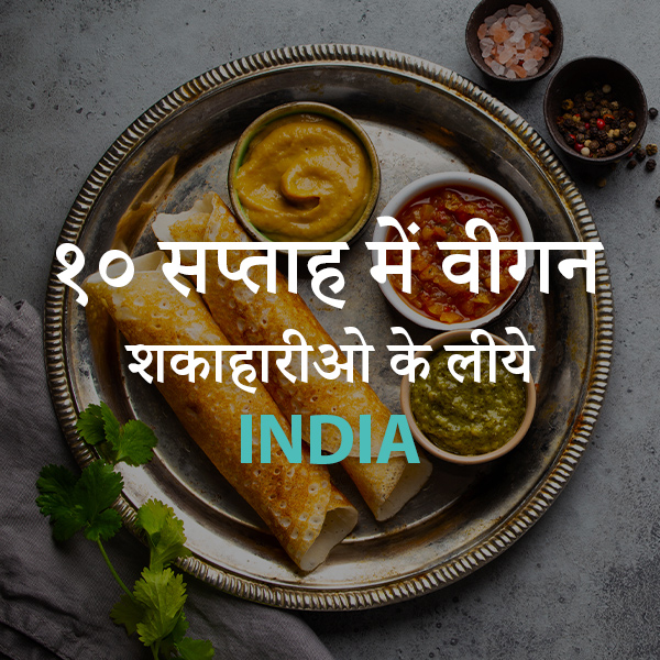 १० सप्ताह में वीगन से आपको India