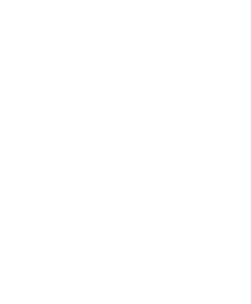 lightbulb