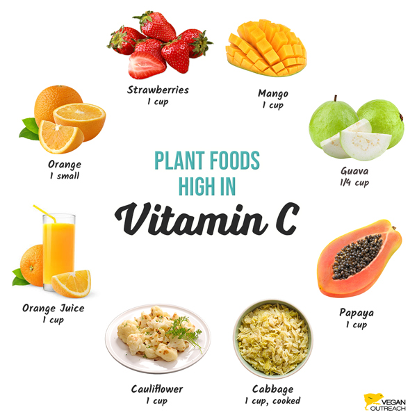 Plant foods high in vitamin C: Orange (1 small), Strawberries (1 cup), Mango (1 cup), Guava (1/4 cup), Papaya (1 cup), Cabbage (1 cup, cooked), Cauliflower (1 cup), Orange juice (1 cup)