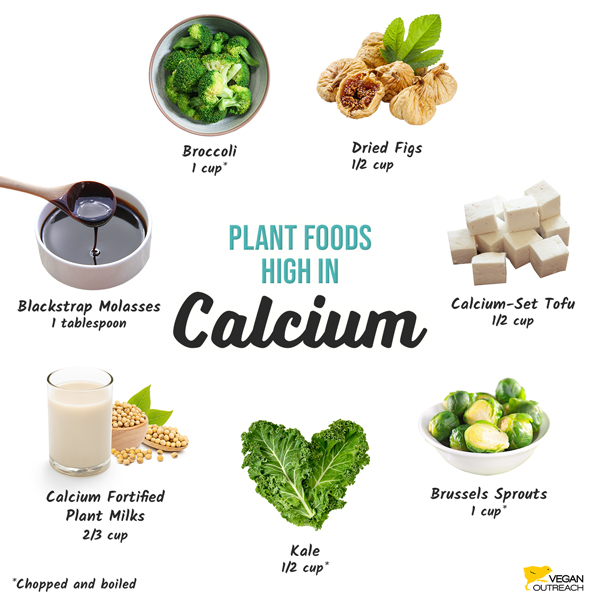 Plant foods high in calcium: Broccoli (1 cup*), Dried figs (1/2 cup), Calcium-set Tofu (1/2 cup), Brussels sprouts (1 cup*), Plant Milks (calcium-fortified, 2/3 cup), Kale (1/2 cup*), Blackstrap Molasses 1 tablespoon *Chopped and boiled