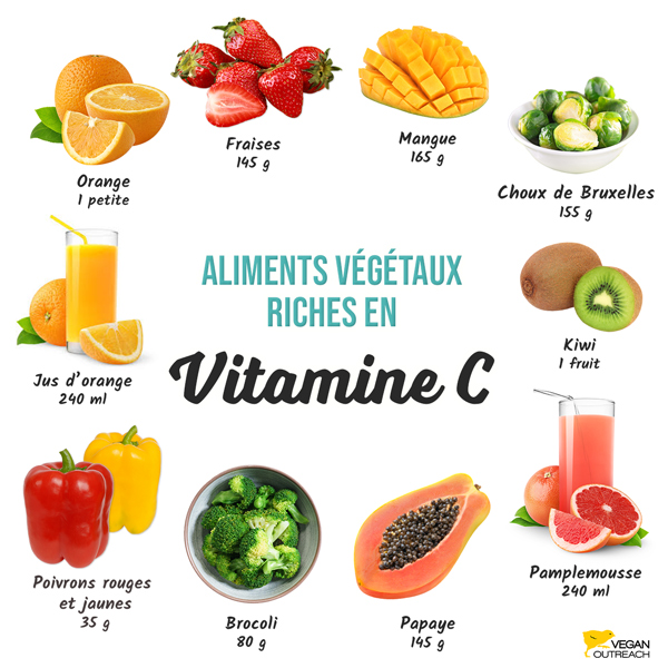 Mangue 165 g, Choux de Bruxelles 155 g, Kiwi 1 fruit, Papaye 145 g, Pamplemousse 240 ml, Poivrons rouges et jaunes 35 g, Brocoli 80 g, Jus d’orange 240 ml, Orange 1 petite, Fraises 145 g