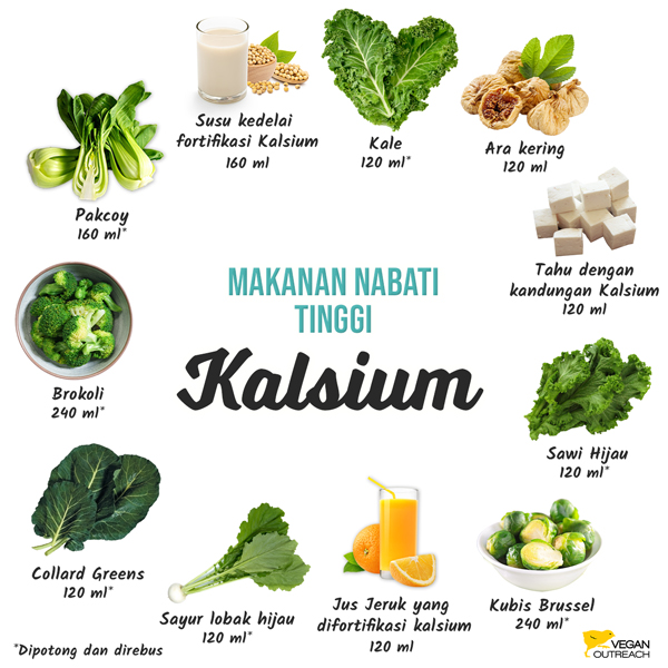 Makanan Nabati Tinggi Kalsium: Brokoli (236 ml), Pak choy (157 ml), Ara Kering (118 ml), jus jeruk (di fortifikasi kalsium, 118 ml) Tahu (tahu dengan kandungan kalsium, 118 ml), Sawi Hijau (118 ml), Sayur lobak Hijau (118 ml), Susu kacang kedelai (di fortifikasi kalsium, 157 ml), Kubis Brussel (236 ml), Collard greens (78 ml), Kale (118 ml)