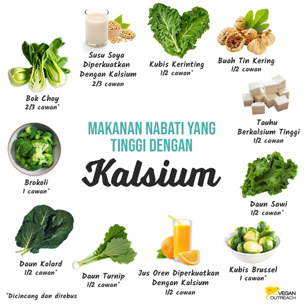 Tumbuhan Nabati Tinggi Dengan Kalsium : Brokoli (1 cawan), Bok Choy (2/3 cawan), Buah Tin Kering (1/2 cawan), Jus Oren (diperkuatkan dengan kalsium, 1/2 cawan), Tauhu (diperkuatkan dengan protein, 1/2 cawan), Daun Sawi  (1/2 cawan), Daun Turnip (1/2 cawan), Susu Soya (diperkuatkan dengan kalsium, 2/3 cawan), Kubis Brussel (1 cawan), Daun Kolard (1/3 cawan), Kubis Kerinting (1/2 cawan).