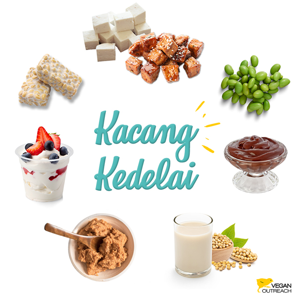 Kacang Kedelai: Tahu; Tempe; Edamame; Puding coklat dari tahu sutra; Susu Kacang Kedelai; Yogurt soya; Es krim dari susu kedelai