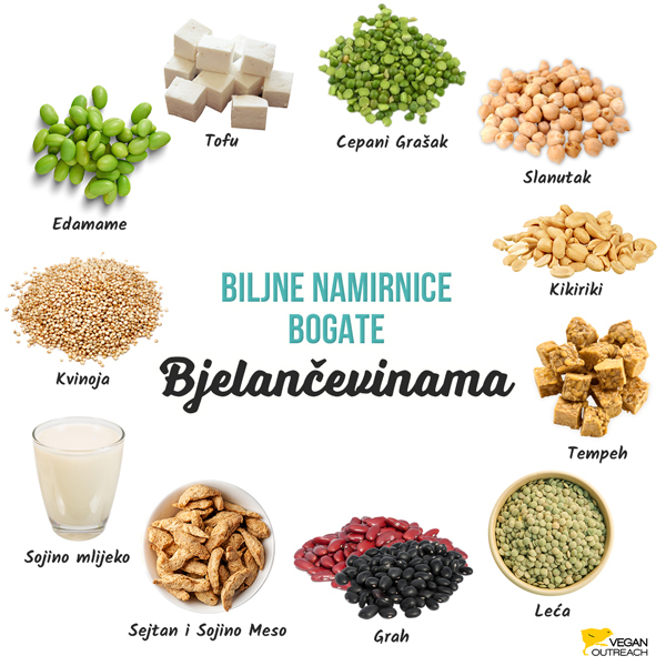 Biljna Hrana Bogata Proteinima: Edamame, Sejtan & Sojino Meso, Cepani Grašak, Kikiriki, Tofu, Tempeh, Leća, Grah, Slanutak, Sojino Mlijeko, Kvinoja