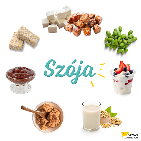 Szója: Tofu, tempe, edamame (szójabab), tofuból készült csokipuding, szójatej, szójajoghurt, szójaalapú jégkrém