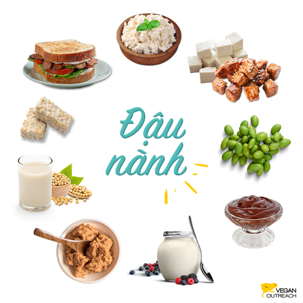 Đậu phụ nghiền: Đậu phụ; Đậu nành Nhật; Pudding sô cô la đậu phụ; Sữa chua đậu nành; Kem đậu nành; Sữa đậu nành; Tempeh; Bánh mì kẹp đạm đậu nành