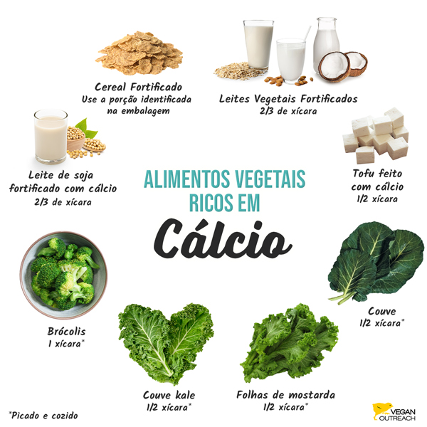 Alimentos vegetais ricos em cálcio: Brócolis (1 xícara*), Cereal Fortificado (use a porção identificada na embalagem), Leite de soja fortificado com cálcio (⅔ de xícara), Tofu Feito com Cálcio (½ xícara), Folhas de mostarda (½ xícara*), Couve (½ xícara*), Leite de Soja (fortificado com cálcio, ⅔ de xícara), Couve Kale (½ xícara*), *Picado e cozido