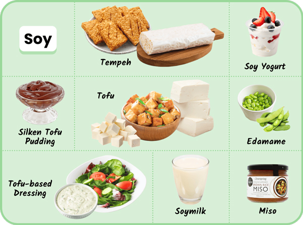 Soy: Tempeh; Soy yogurt; Tofu; Silken tofu pudding; Edamame; Tofu-based dressing; Soymilk; Miso