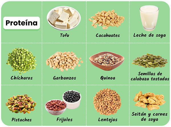 Alimentos vegetales ricos en proteínas: carnes de soya, chícharos, cacahuates, tofu, lentejas, frijoles, garbanzos, leche de soya, quinoa, semillas de calabaza, pistaches