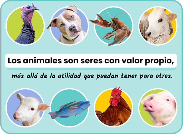 Los animales son seres con valor propio, más allá de la utilidad que puedan tener para otros.