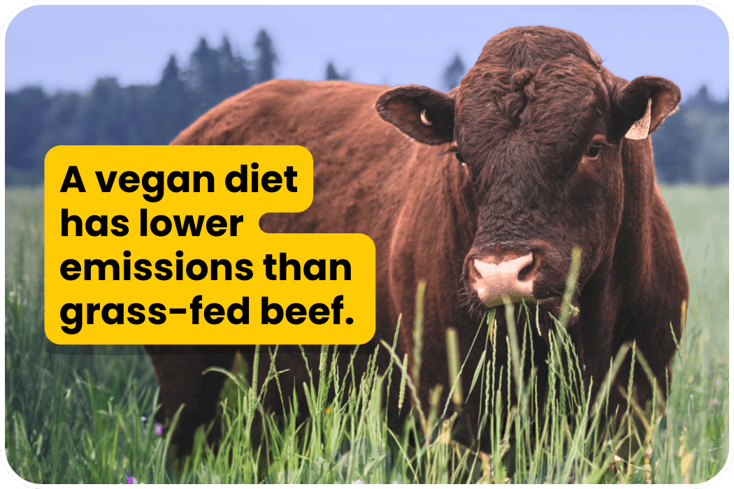 A vegan diet has lower emissions than grass-fed beef.