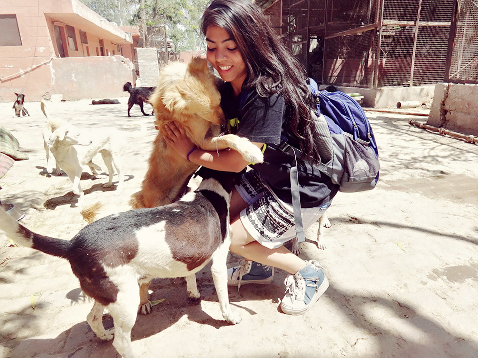 Pooja and dogs