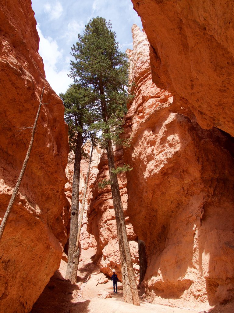 Bryce Canyon Amphitheater