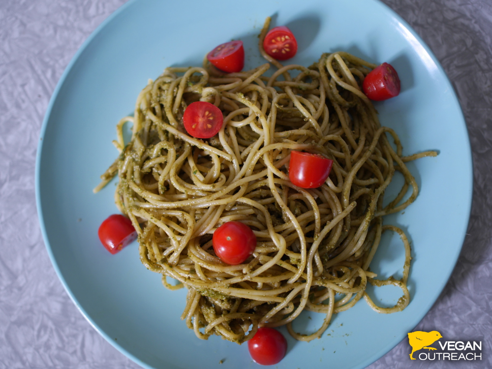 Avocado Sunflower Seed Pasta! Recipe on the Vegan Outreach blog.