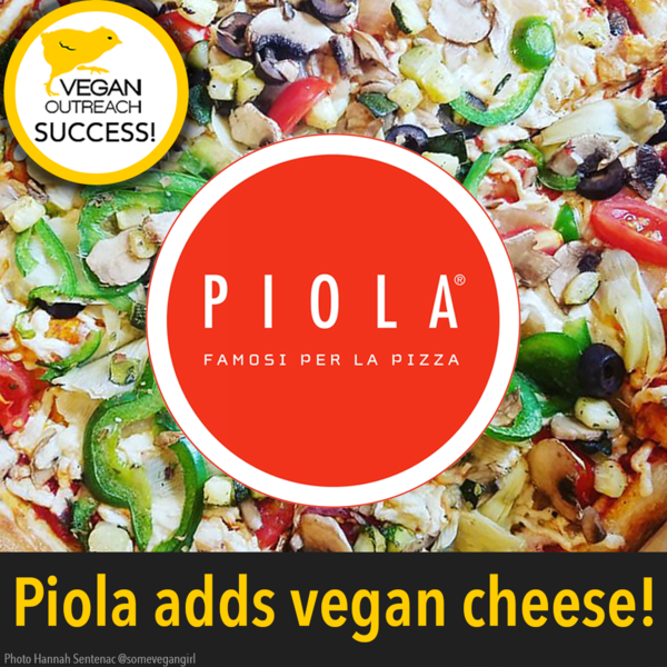 Piola adds vegan cheese