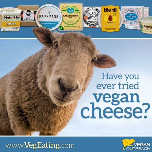 have you tried vegan cheese?